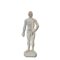 Modello Anatomico di corpo Maschile per l'Agopuntura - 26cm - D027KL
